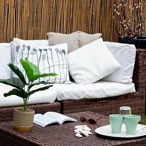 Couette-café Mirage, Catane